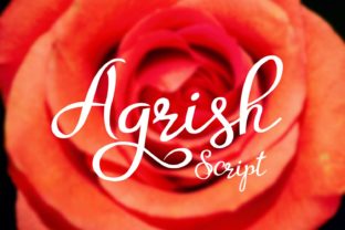 Agrish: A Script Font for Editorial Charm