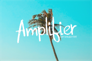 Amplifier: A Typeface for Clear Branding