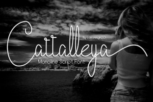 Cattalleya: A Modern Script Font for Web Design
