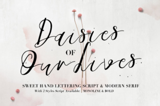 Daisies of Our Lives: A Typeface for Clear Campaigns