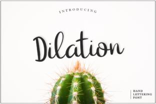 Dilation: A Handmade Calligraphy Font for Makers