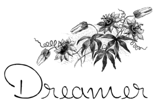Dreamer: A Handwritten Typeface for Editorial Warmth