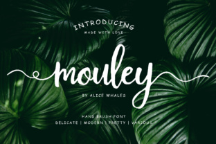 Mouley: A Handwritten Script Font for Crafters