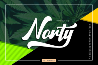 Norty: The Painterly Display Font for Bold Branding