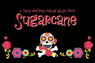 Sugarcane: A Whimsical Typeface for Editorial Charm