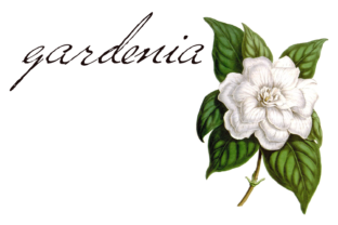 Versitia: A Handwritten Font for Editorial Design